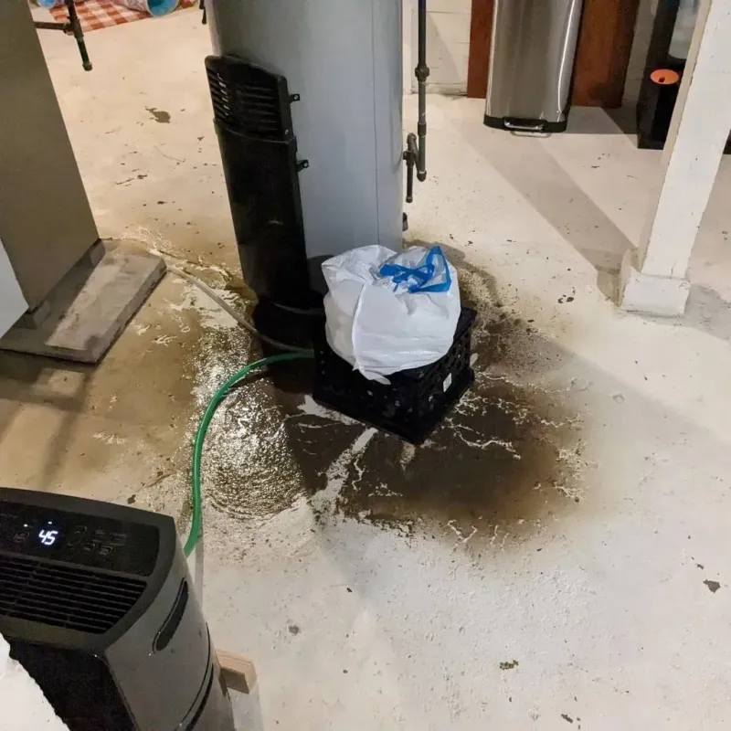 Sewage Backup Cleanup Service in Greensboro, AL